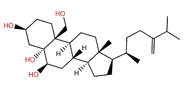 24-Methylenecholestane-3b,5a,6b,19-tetrol